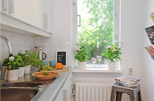 Trồng cây rau thơm trong nhà bếp phong thuy nha bep Trồng cây rau thơm trong nhà bếp