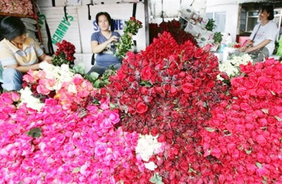 giang2 1367005814 500x0 Các cửa hàng rực rỡ sắc màu trong ngày lễ tình yêu Valentine