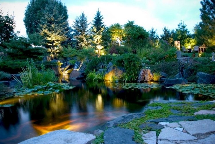  Bài trí hồ nước nhỏ   xu hướng mới cho sân vườn hiện đại